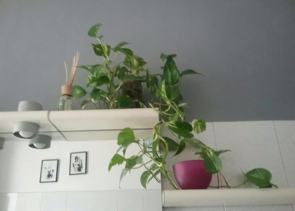 Mascagni Rooms Florencja Zewnętrze zdjęcie